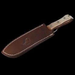 Condor Mountain Pass Surveyor -Cheap Knife Store CTK2018625Cjpg02 61365.1633008318