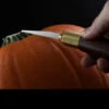 Warren Cutlery Pumpkin Carving Tool Set 1 Warren Cutlery Pumpkin Carving Tool Set -Cheap Knife Store WC3.1 01152.1633946645