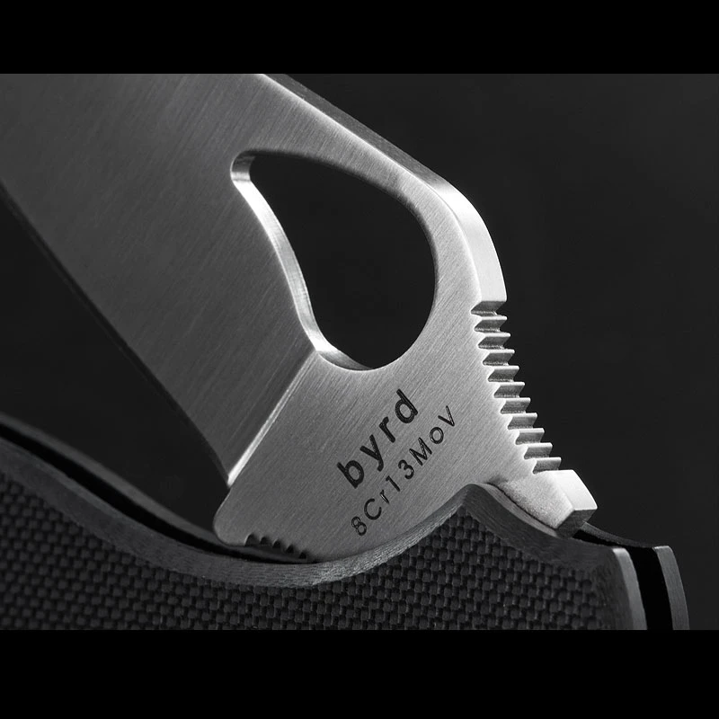 Byrd Tern 3 Byrd Tern